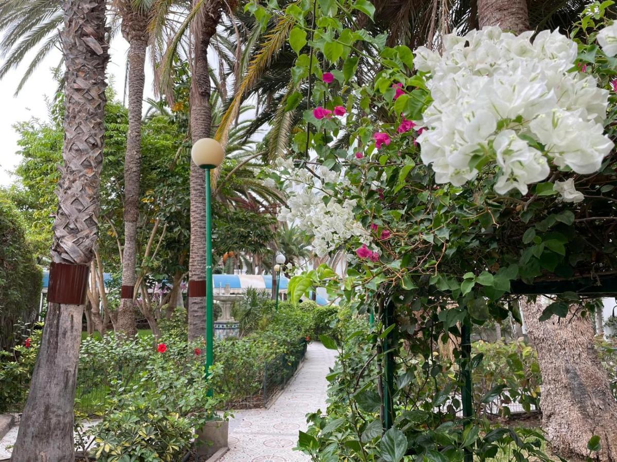 Leilighet Surycan Tropical Garden Playa del Inglés